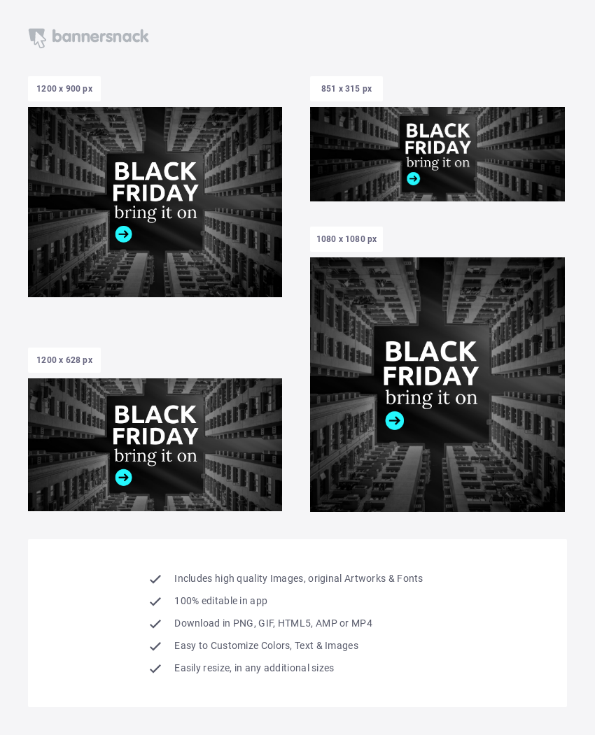 Black Friday Promo Banner Template